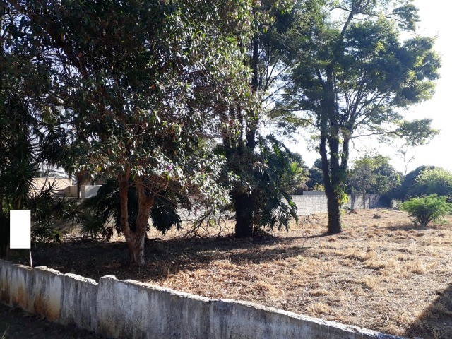 Terreno à venda, 2000m² - Foto 10