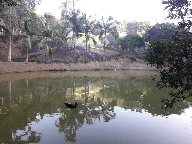 Fazenda à venda com 4 quartos, 20000m² - Foto 3