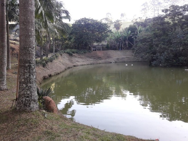 Fazenda à venda com 4 quartos, 20000m² - Foto 4