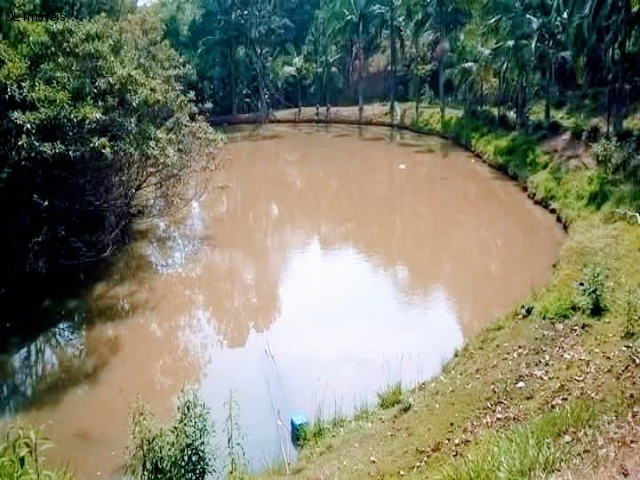 Fazenda à venda com 4 quartos, 20000m² - Foto 5