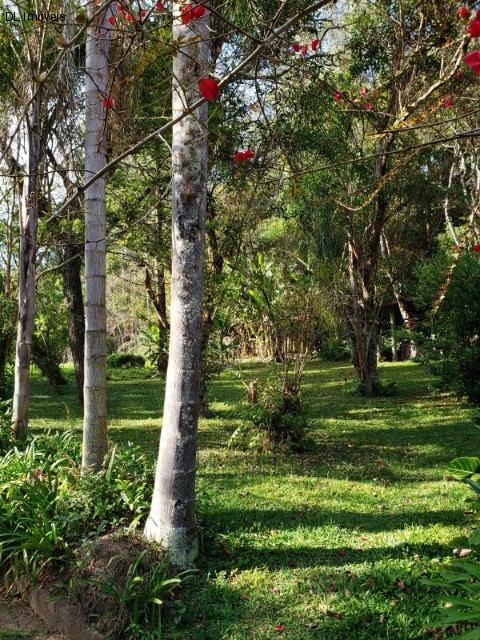 Fazenda à venda com 11 quartos, 30000m² - Foto 43