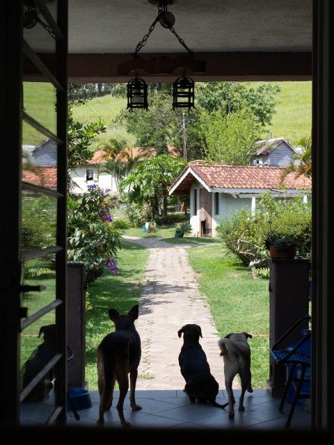 Fazenda à venda com 4 quartos, 20000m² - Foto 43