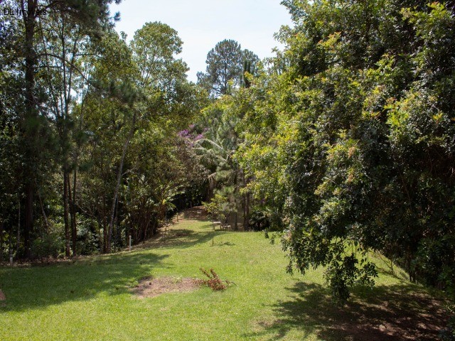 Fazenda à venda com 4 quartos, 20000m² - Foto 23