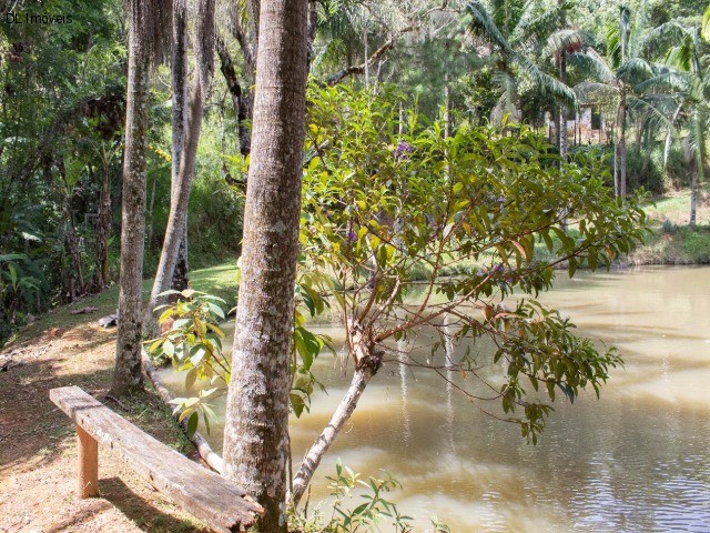 Fazenda à venda com 4 quartos, 20000m² - Foto 21