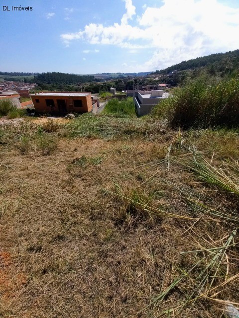 Terreno à venda, 250m² - Foto 3