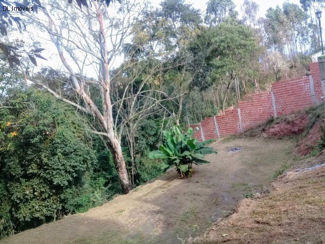 Fazenda à venda com 3 quartos, 142m² - Foto 24