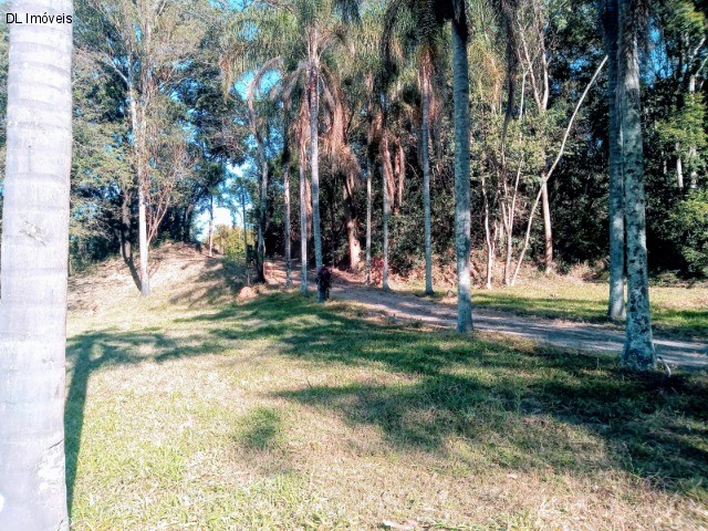 Sítio à venda com 4 quartos, 8300m² - Foto 33