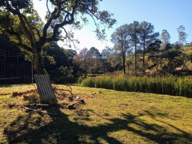 Chácara, 3 quartos, 8 hectares - Foto 6