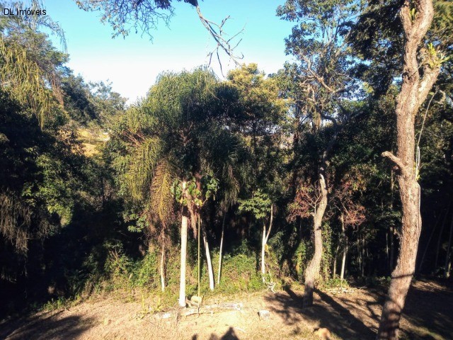 Chácara, 3 quartos, 8 hectares - Foto 14