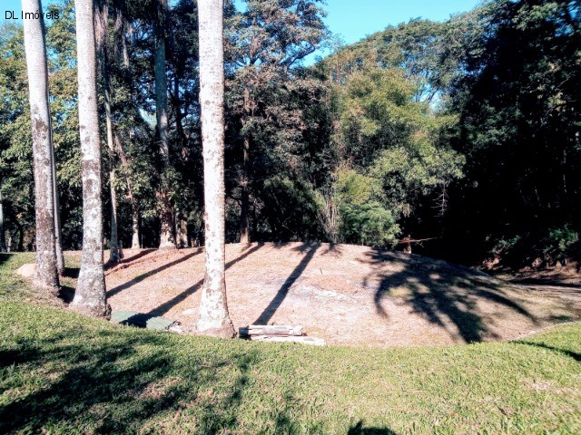 Chácara, 3 quartos, 8 hectares - Foto 13