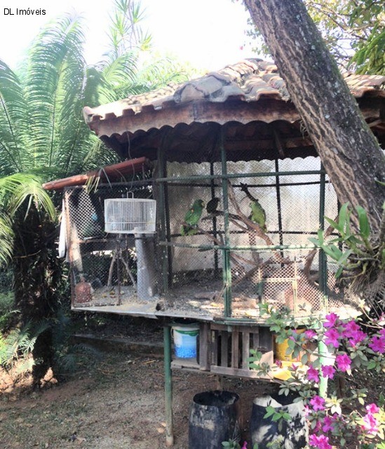 Chácara, 2 quartos, 1175 m² - Foto 6