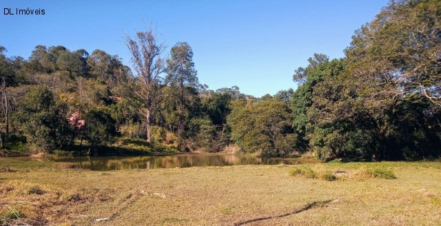 Chácara, 3 quartos, 8 hectares - Foto 17