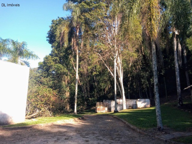 Chácara, 3 quartos, 8 hectares - Foto 8