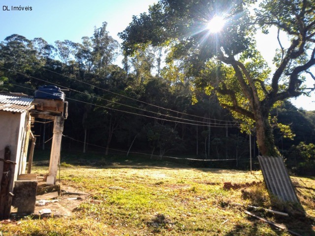 Chácara, 3 quartos, 8 hectares - Foto 7