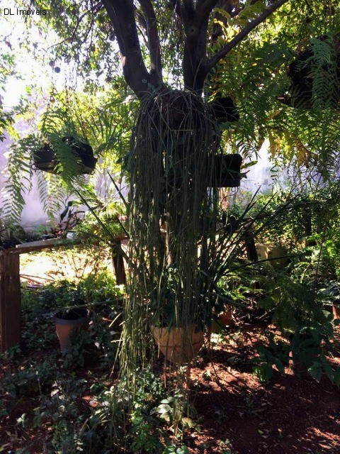 Casa, 2 quartos, 98 m² - Foto 7