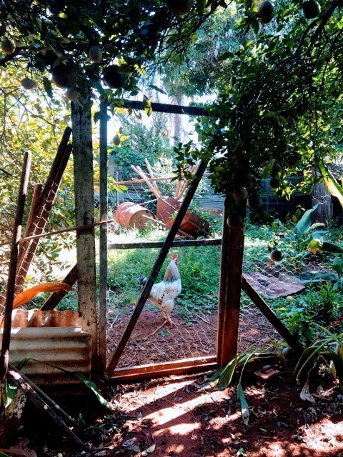 Casa, 2 quartos, 98 m² - Foto 6