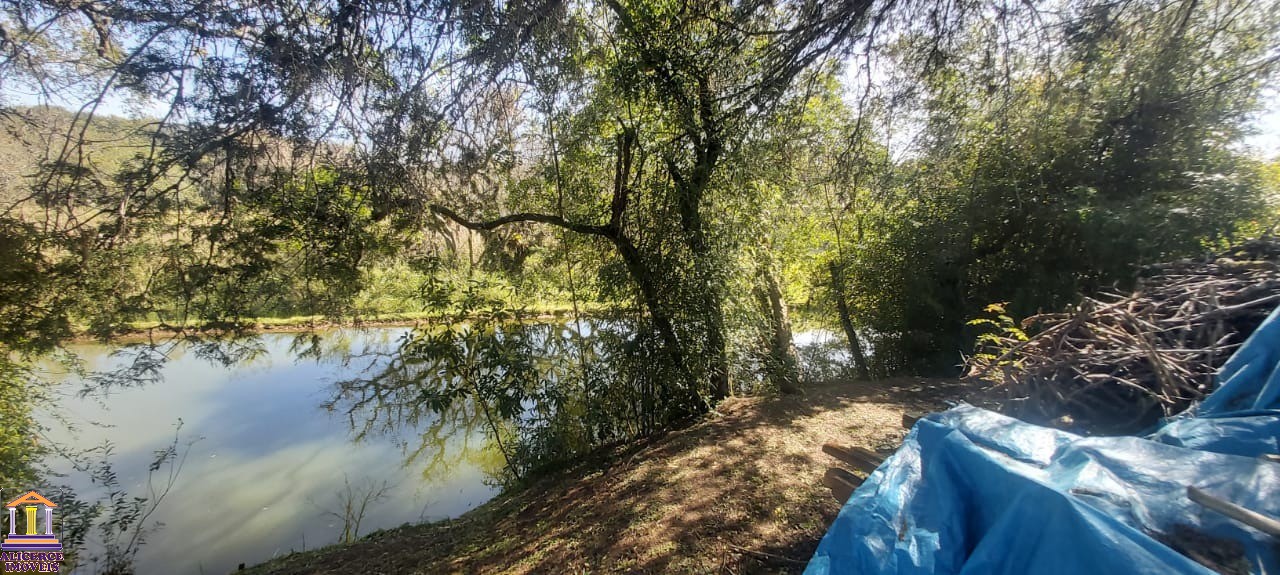 Fazenda à venda com 4 quartos, 15000m² - Foto 33