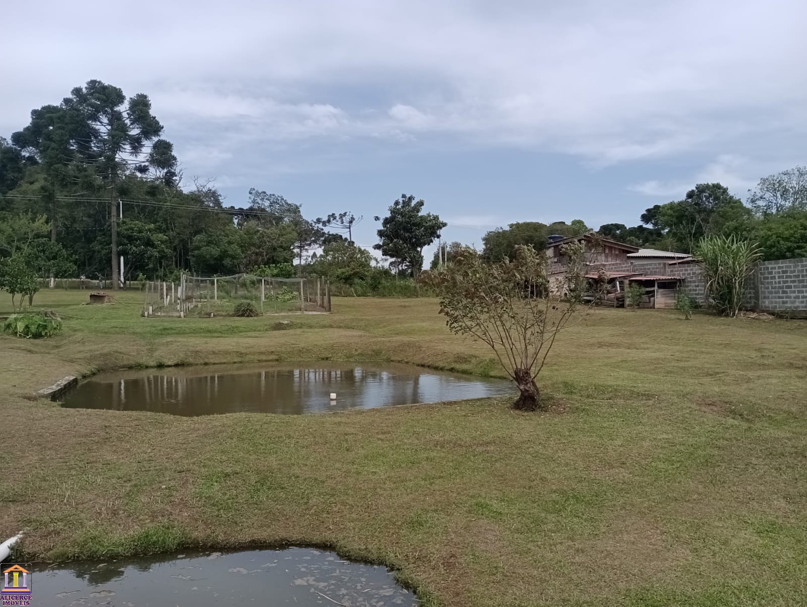 Fazenda à venda com 4 quartos, 15000m² - Foto 105