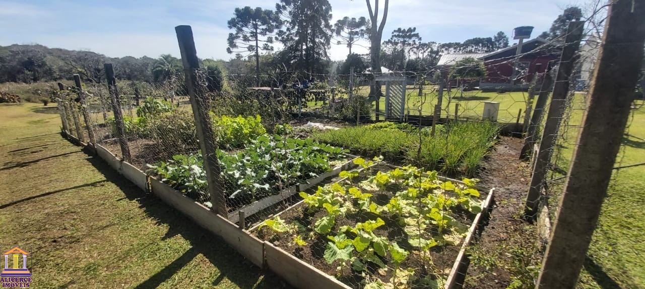 Fazenda à venda com 4 quartos, 15000m² - Foto 24