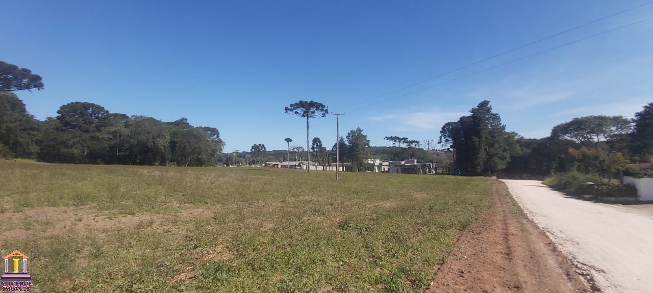 Fazenda à venda com 4 quartos, 15000m² - Foto 17