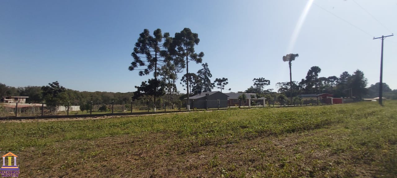 Fazenda à venda com 4 quartos, 15000m² - Foto 56