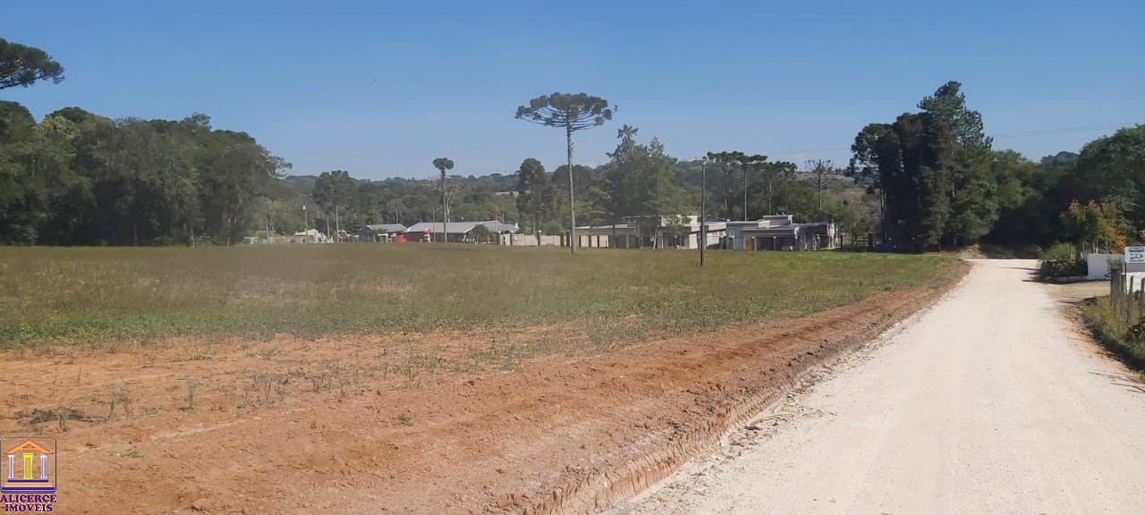 Fazenda à venda com 4 quartos, 15000m² - Foto 15