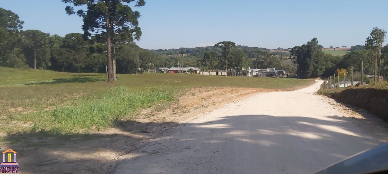 Fazenda à venda com 4 quartos, 15000m² - Foto 16