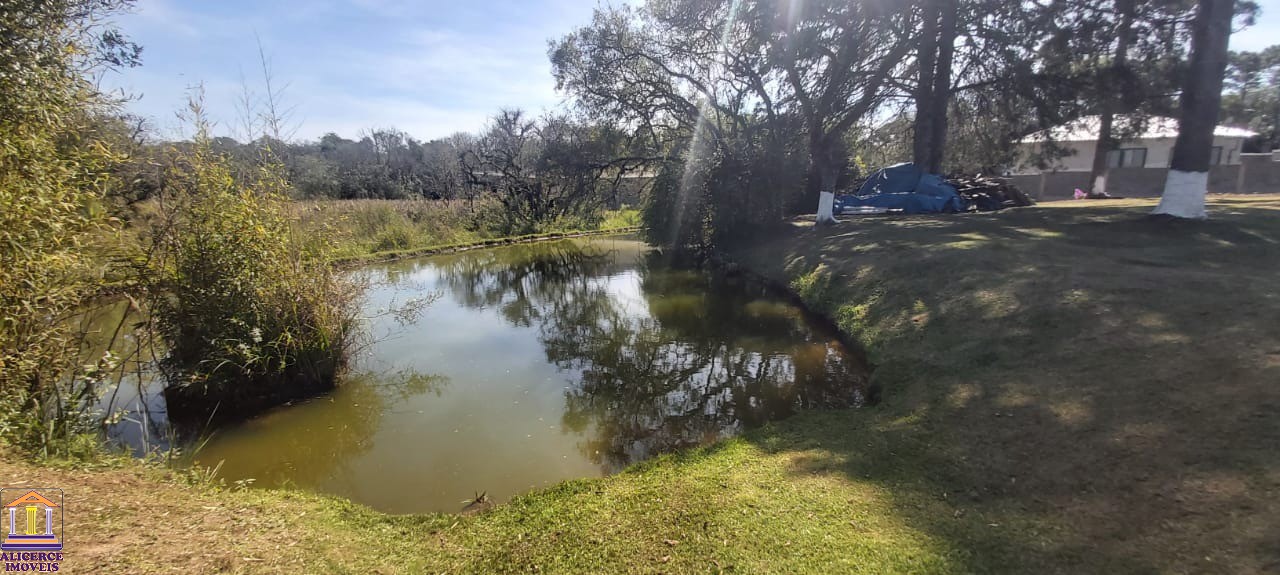 Fazenda à venda com 4 quartos, 15000m² - Foto 32