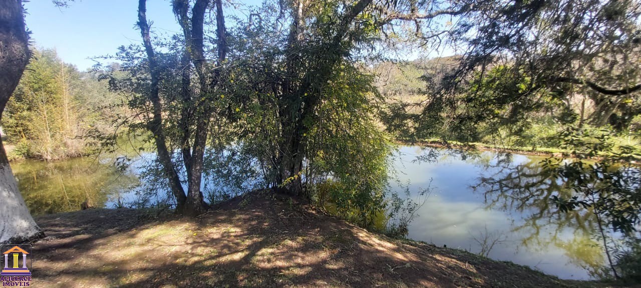 Fazenda à venda com 4 quartos, 15000m² - Foto 34