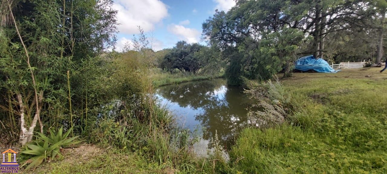 Fazenda à venda com 4 quartos, 15000m² - Foto 4