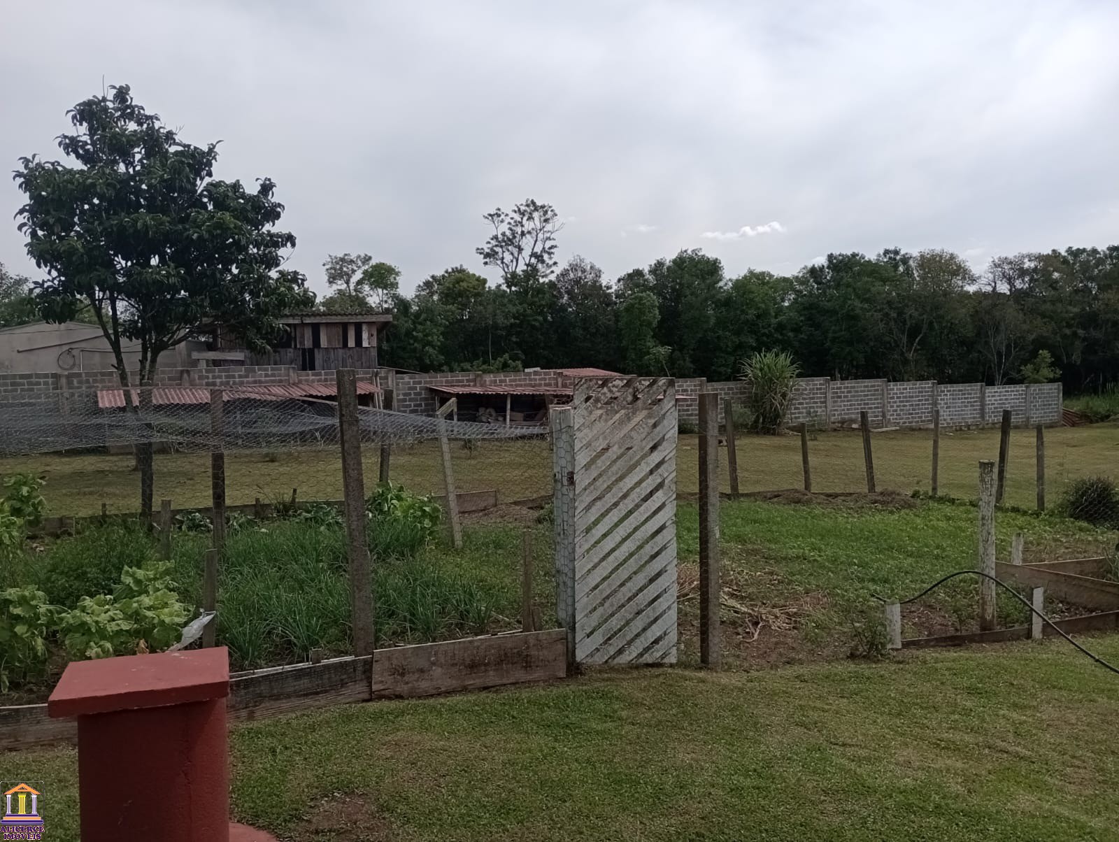 Fazenda à venda com 4 quartos, 15000m² - Foto 97