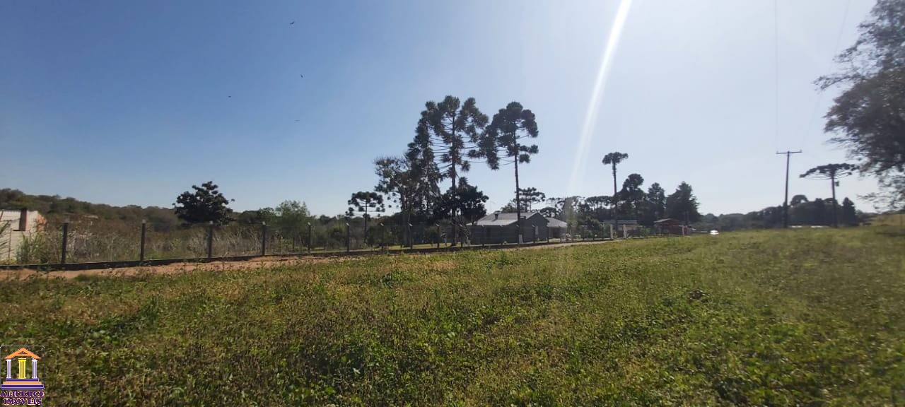 Fazenda à venda com 4 quartos, 15000m² - Foto 26