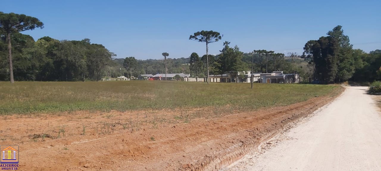 Fazenda à venda com 4 quartos, 15000m² - Foto 14