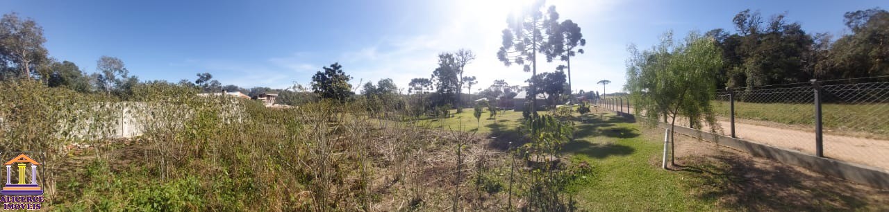 Fazenda à venda com 4 quartos, 15000m² - Foto 20