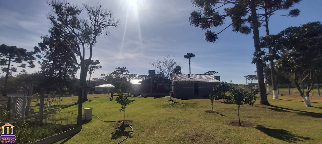 Fazenda à venda com 4 quartos, 15000m² - Foto 22