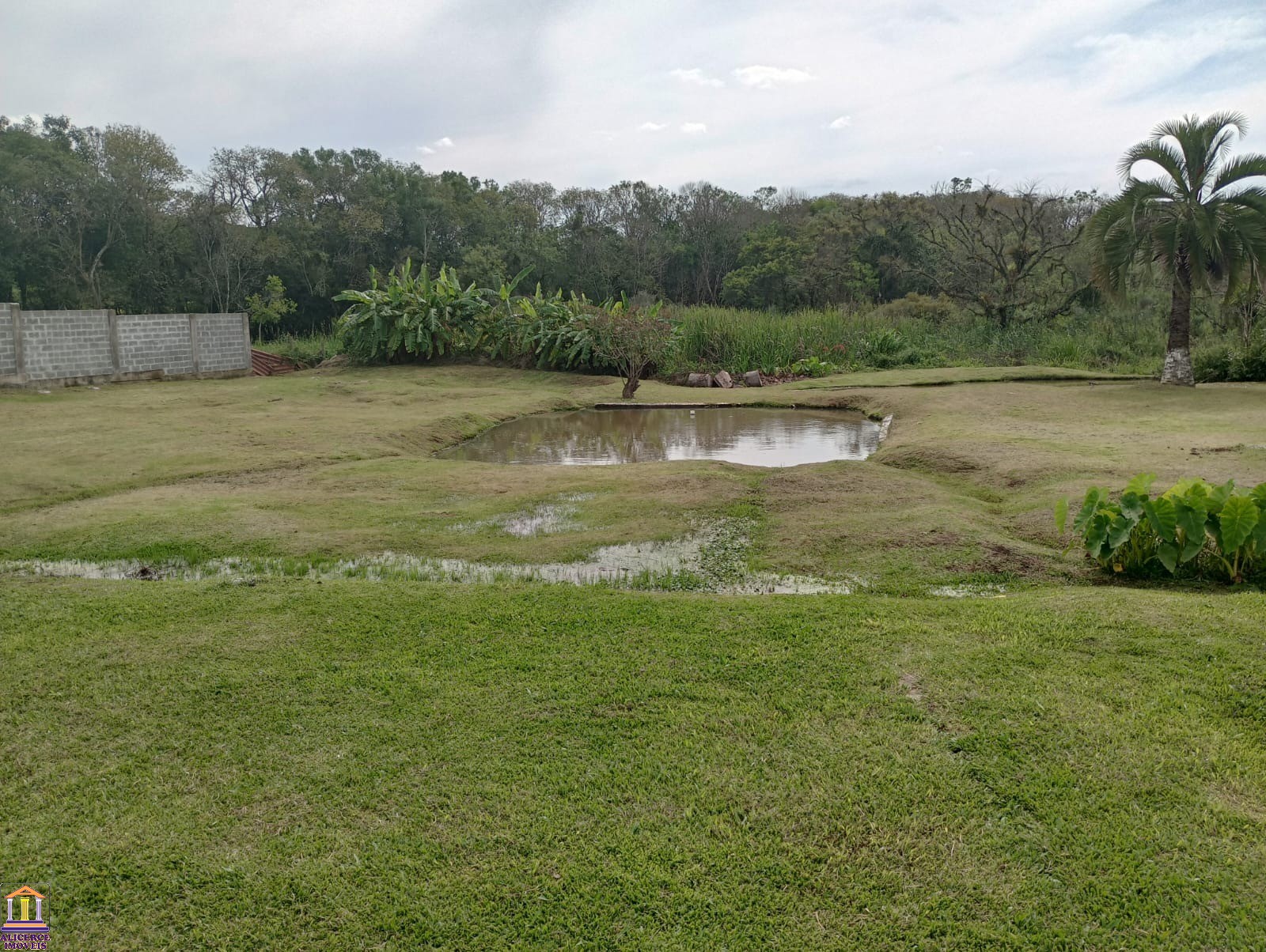 Fazenda à venda com 4 quartos, 15000m² - Foto 99