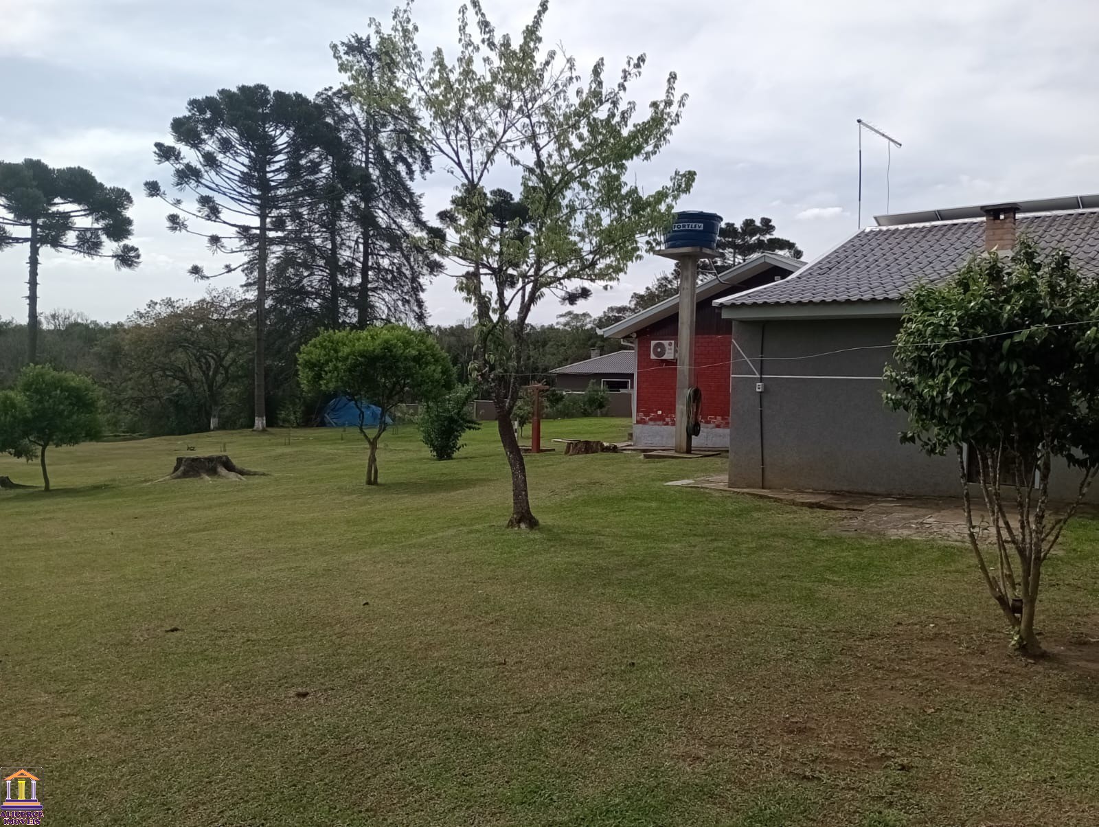 Fazenda à venda com 4 quartos, 15000m² - Foto 94