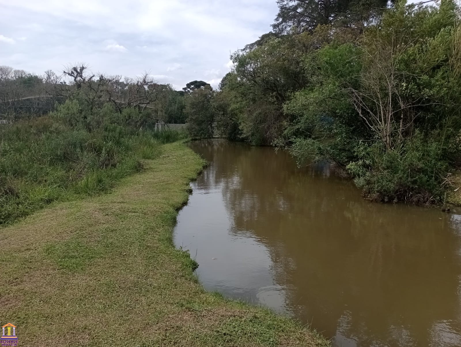 Fazenda à venda com 4 quartos, 15000m² - Foto 104