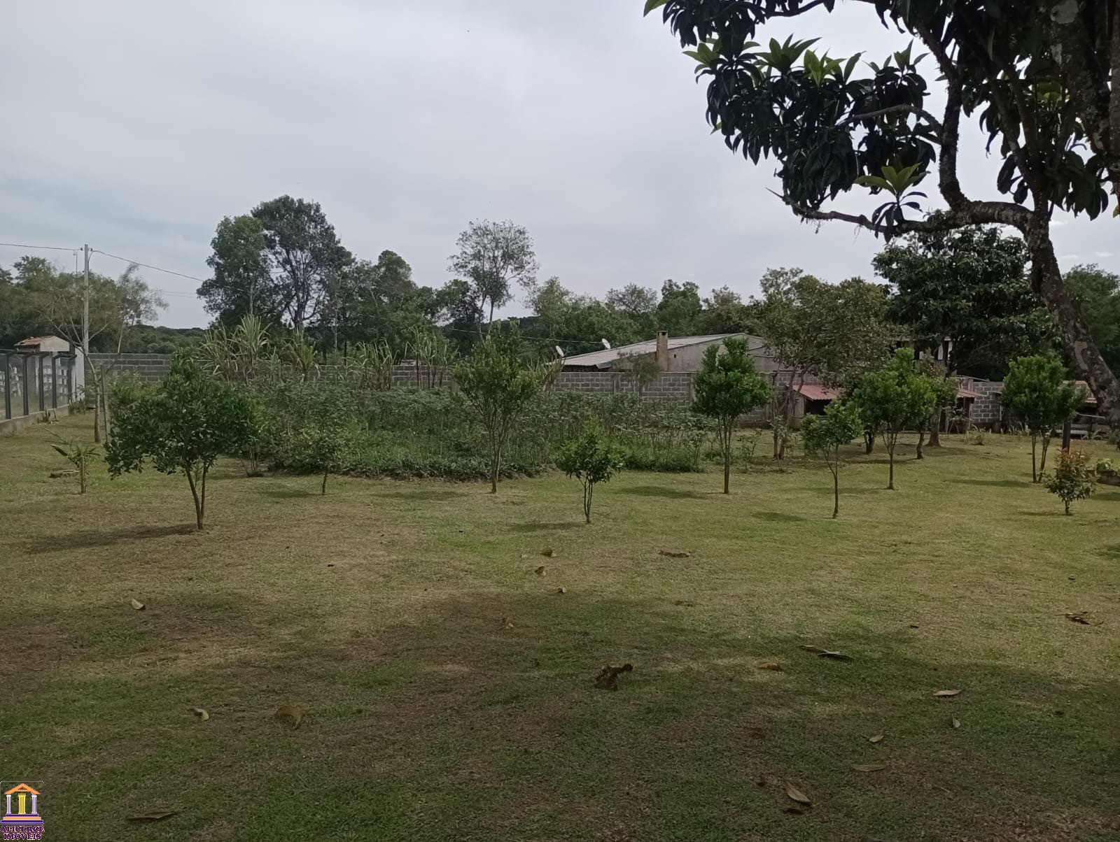 Fazenda à venda com 4 quartos, 15000m² - Foto 92