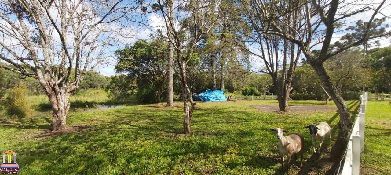 Fazenda à venda com 4 quartos, 15000m² - Foto 5