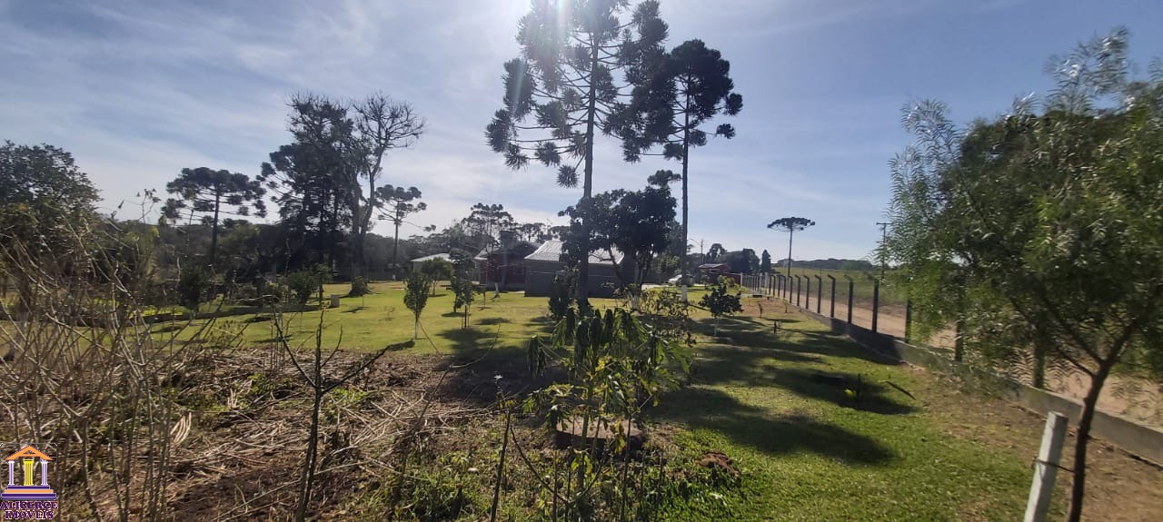 Fazenda à venda com 4 quartos, 15000m² - Foto 21