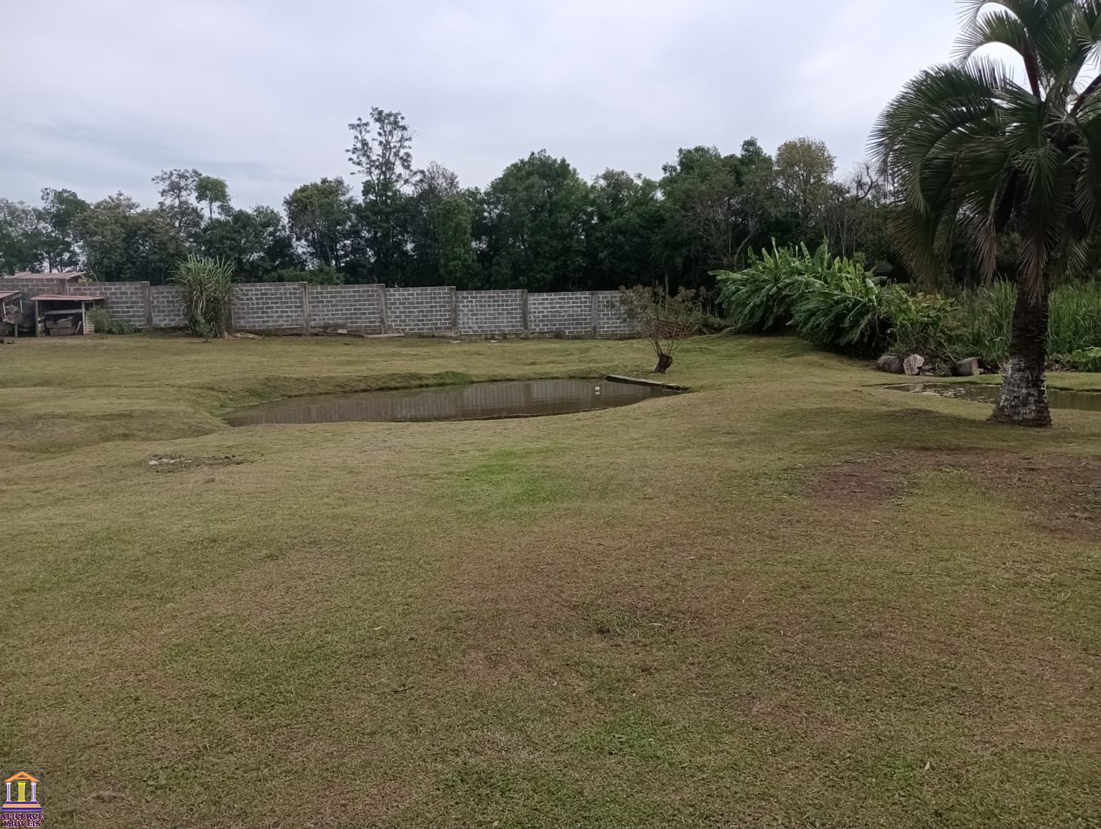 Fazenda à venda com 4 quartos, 15000m² - Foto 103