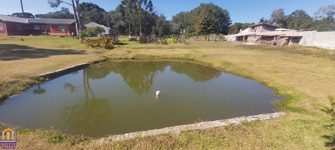 Fazenda à venda com 4 quartos, 15000m² - Foto 45