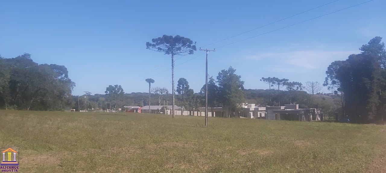 Fazenda à venda com 4 quartos, 15000m² - Foto 18