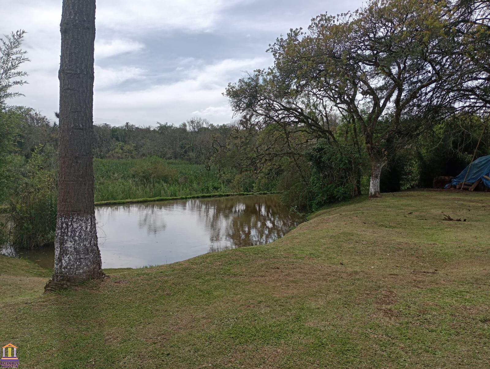 Fazenda à venda com 4 quartos, 15000m² - Foto 101