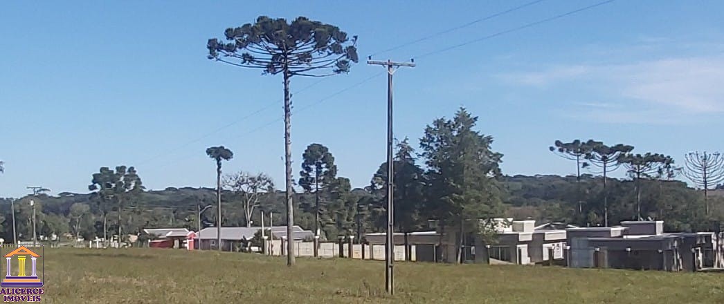 Fazenda à venda com 4 quartos, 15000m² - Foto 44