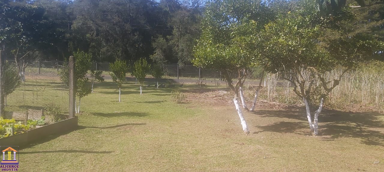 Fazenda à venda com 4 quartos, 15000m² - Foto 25