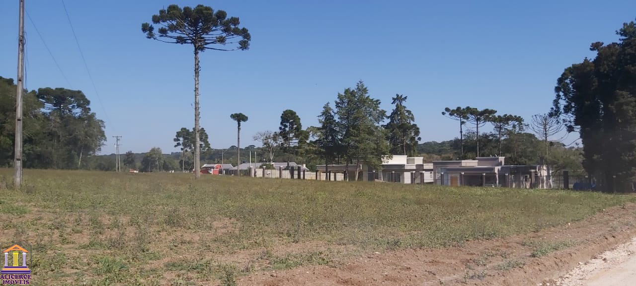 Fazenda à venda com 4 quartos, 15000m² - Foto 13