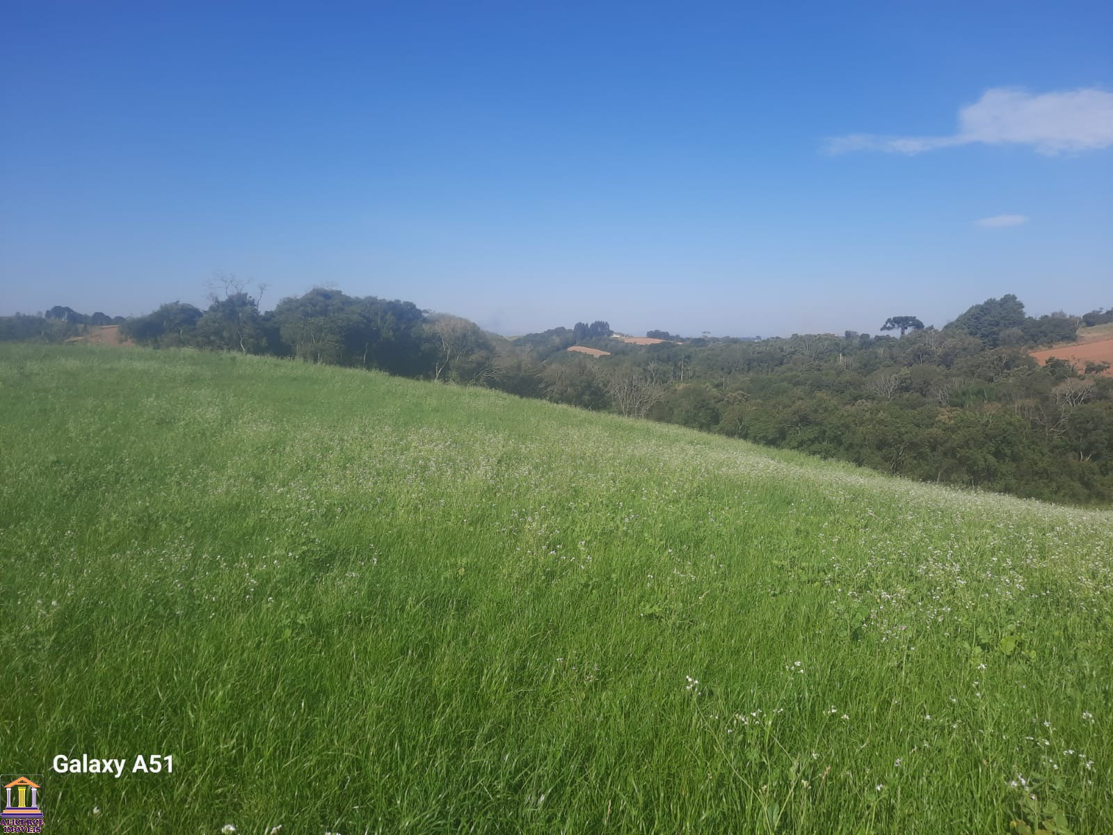 Terreno à venda, 78727m² - Foto 10