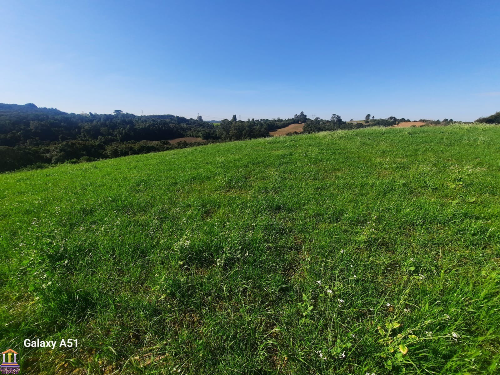 Terreno à venda, 78727m² - Foto 23